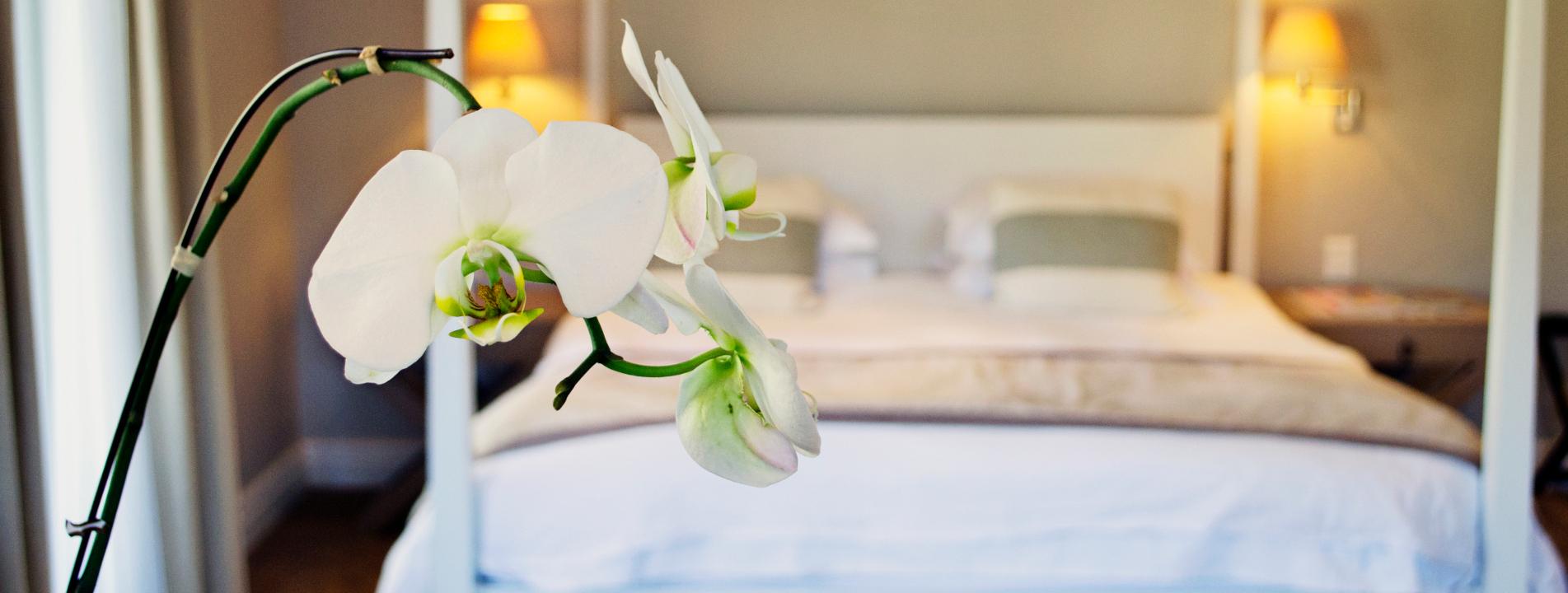 Le Franschhoek Hotel & Spa
