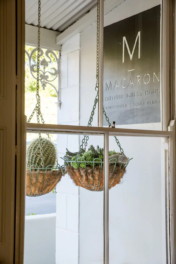 Macaron Boutique Guest House
