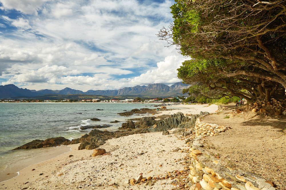 Cape Gordonia