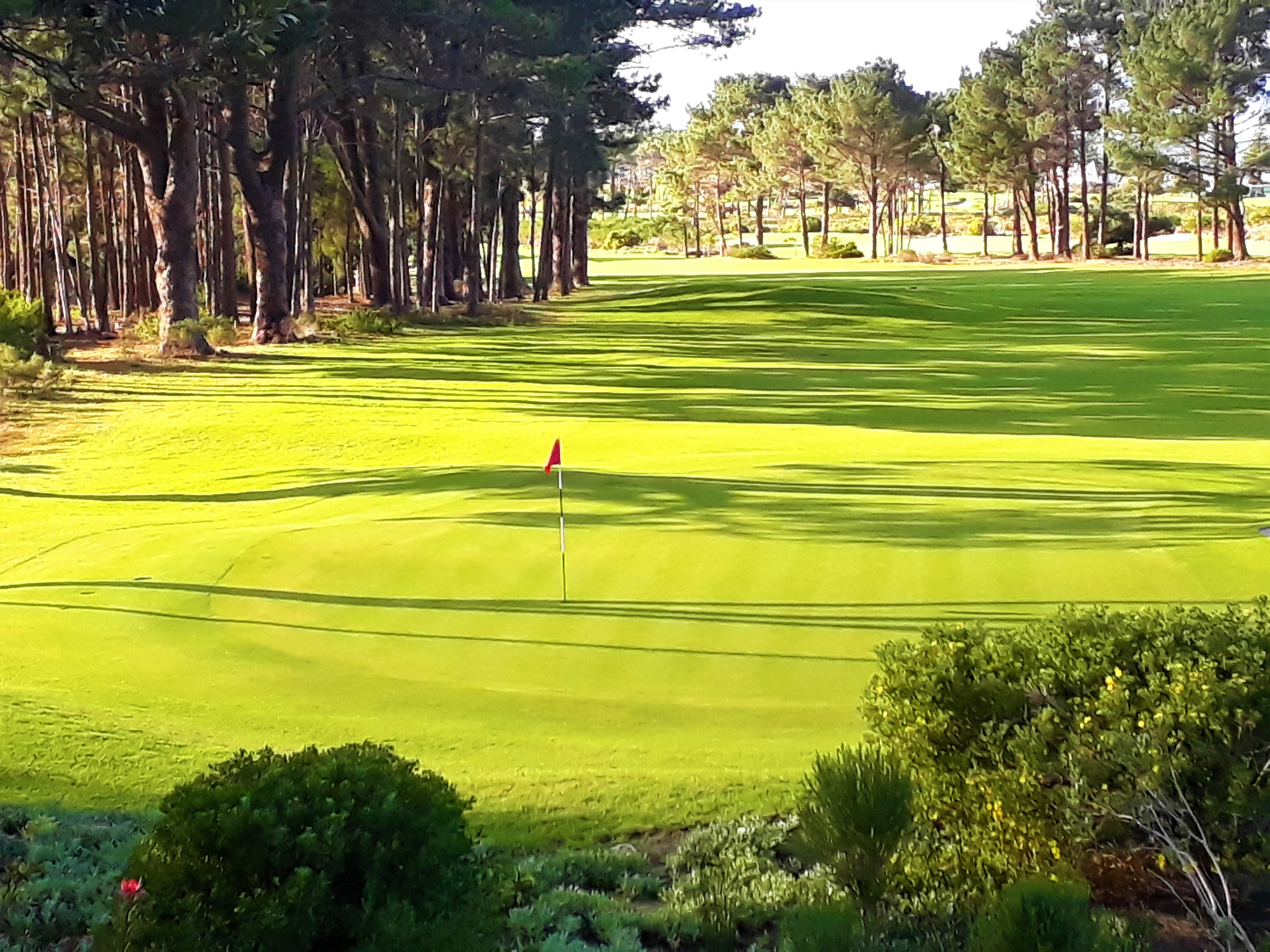 Hermanus Lodge on the Green