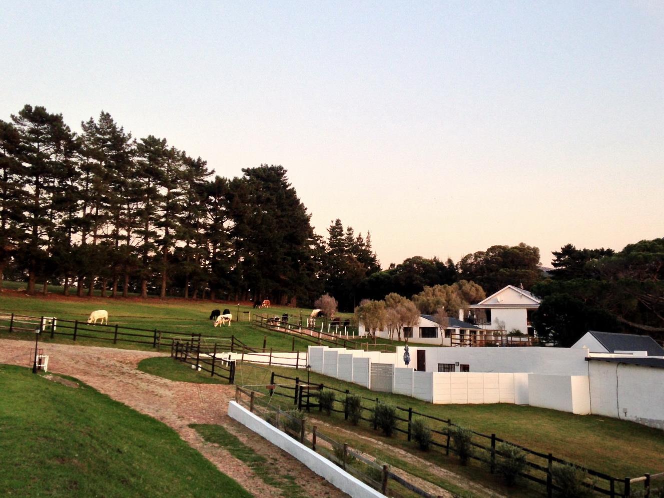 High Season Farm