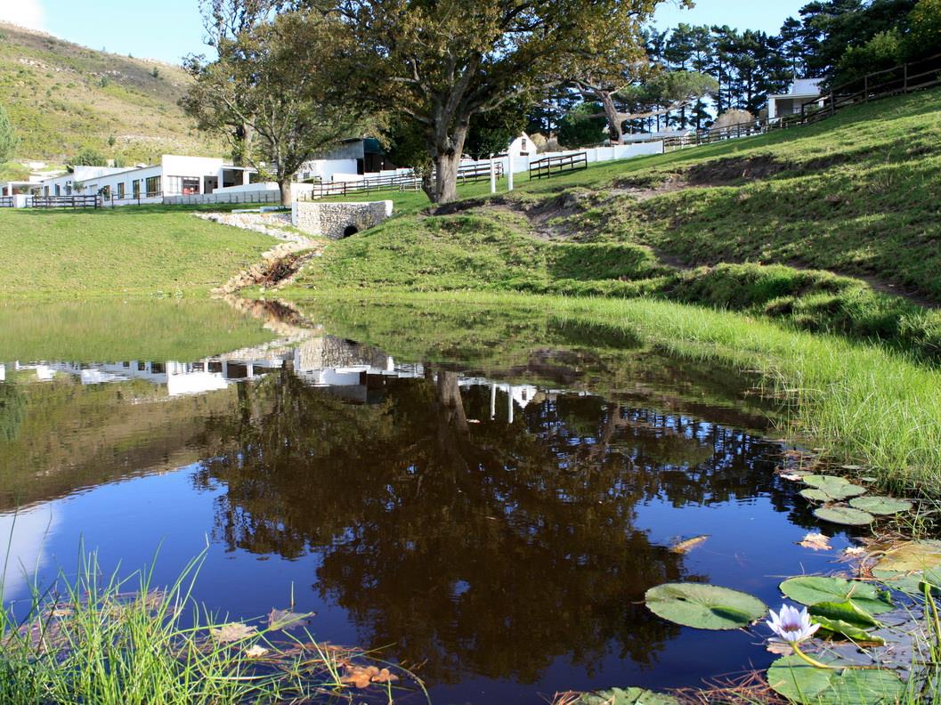 High Season Farm