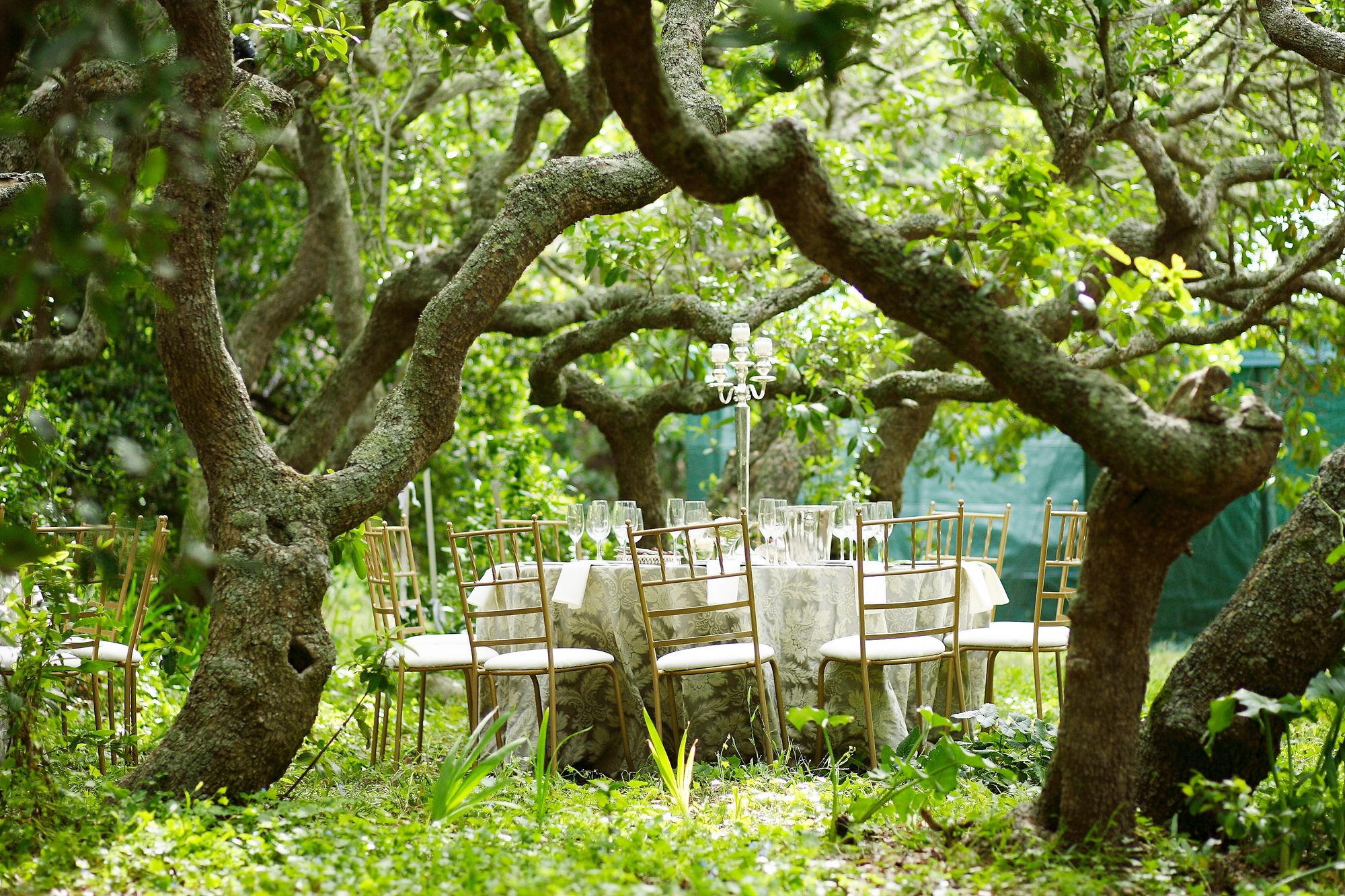 Kennedy's Beach Villa