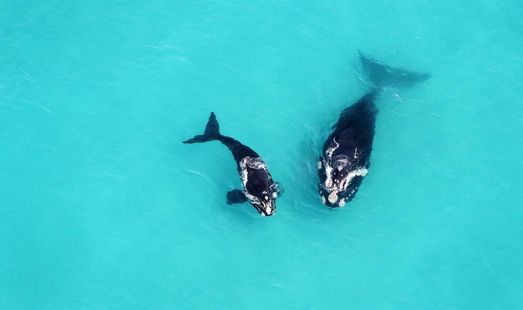 Misty Waves Boutique