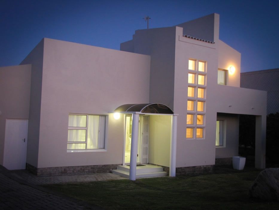 Seagull Hermanus