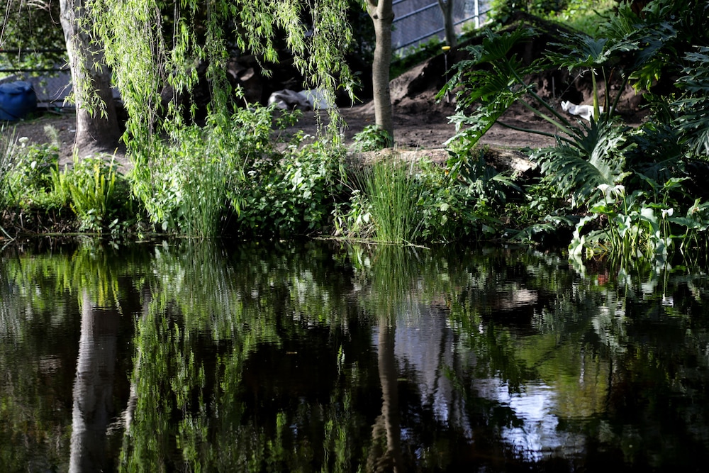 Waterland Lodge