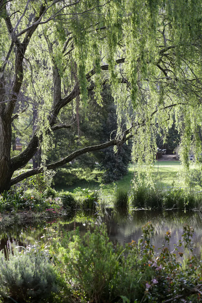 Waterland Lodge