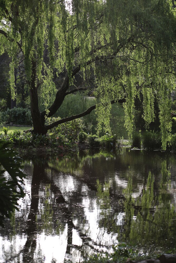 Waterland Lodge