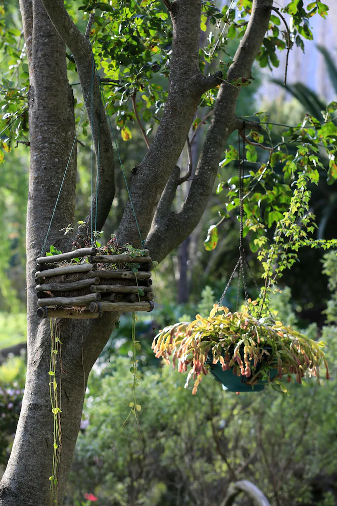Waterland Lodge