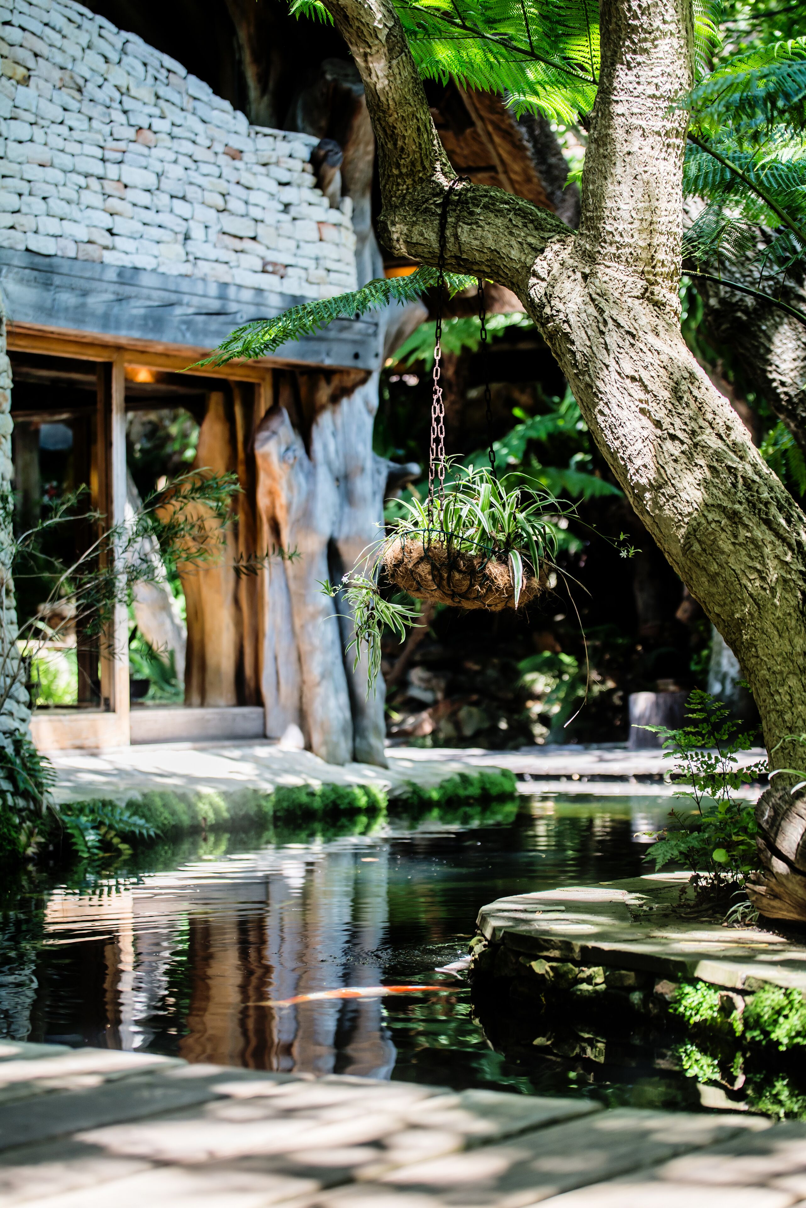 Wonderland Cape Town
