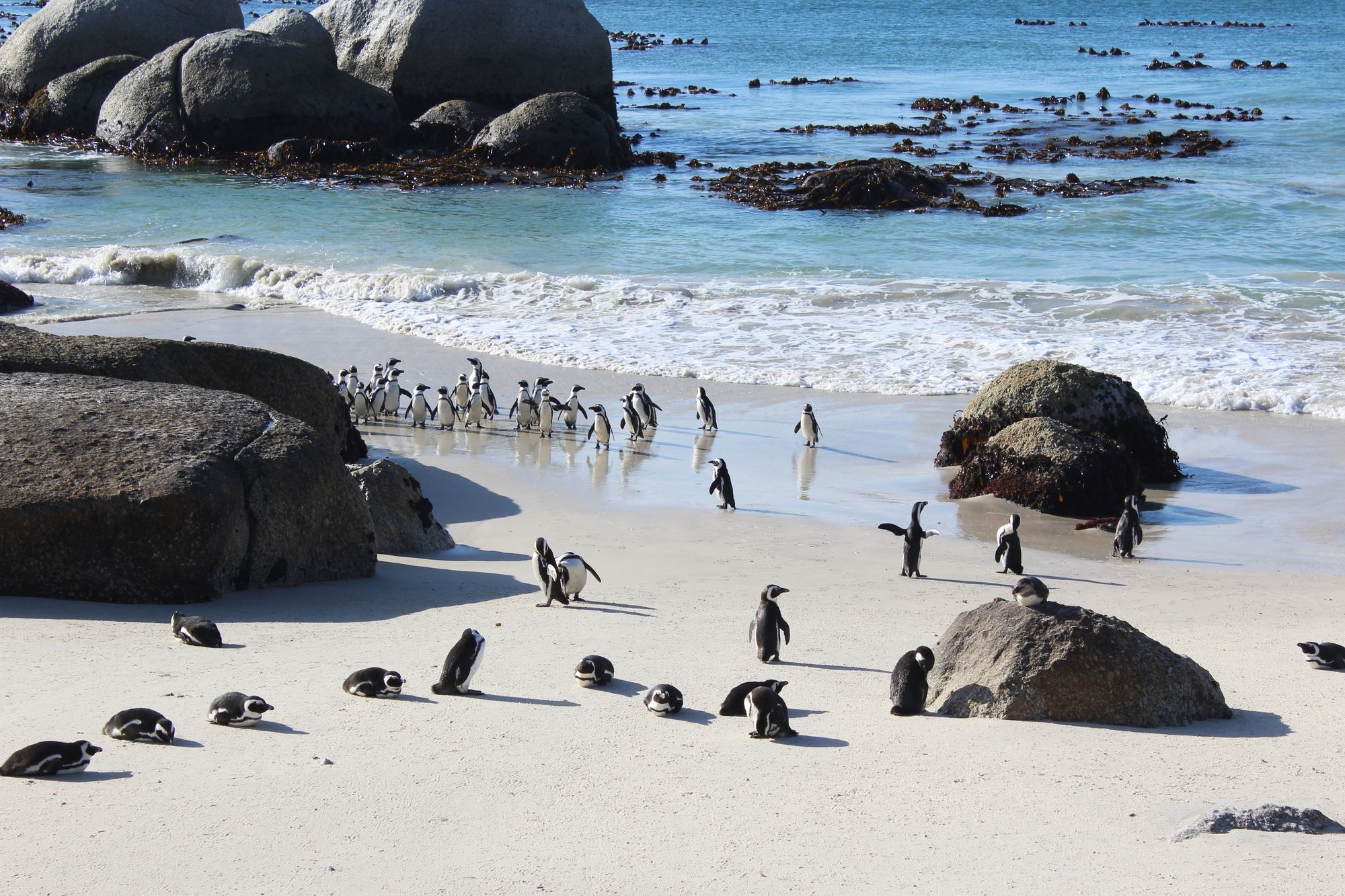Boulders Beach House