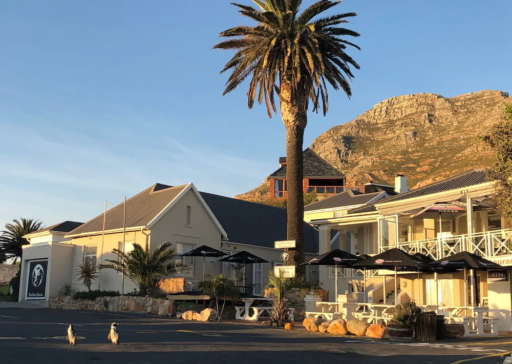 Boulders Beach Lodge