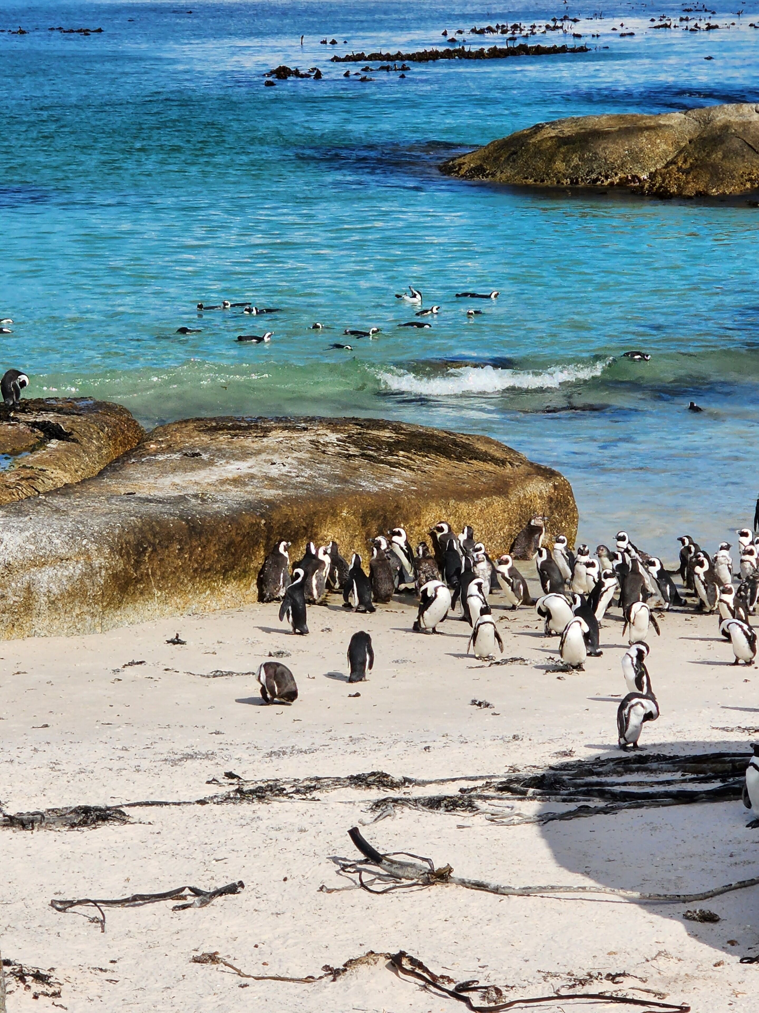 Boulders Blue Bed And Breakfast