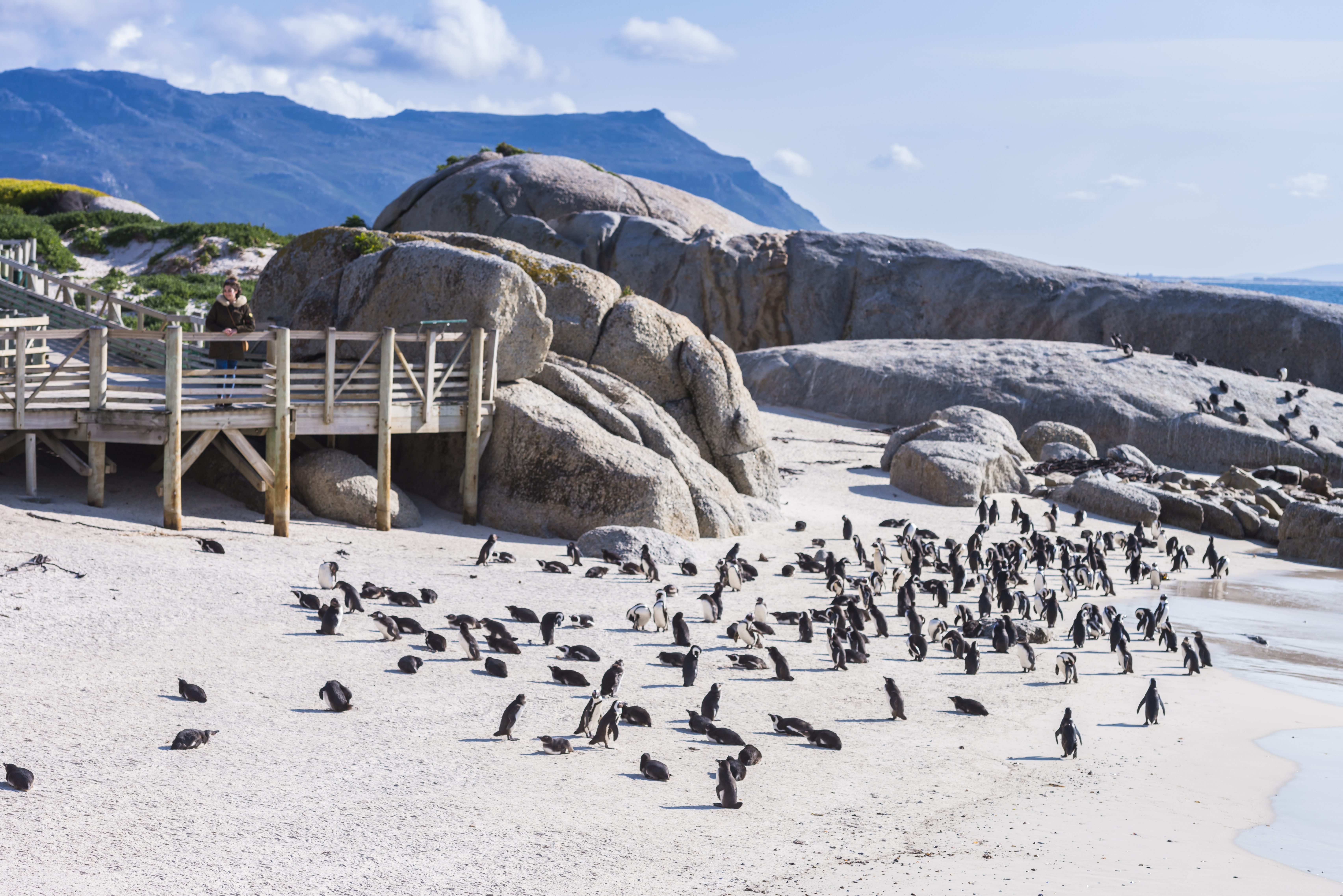 Simon’s Town Quayside Hotel