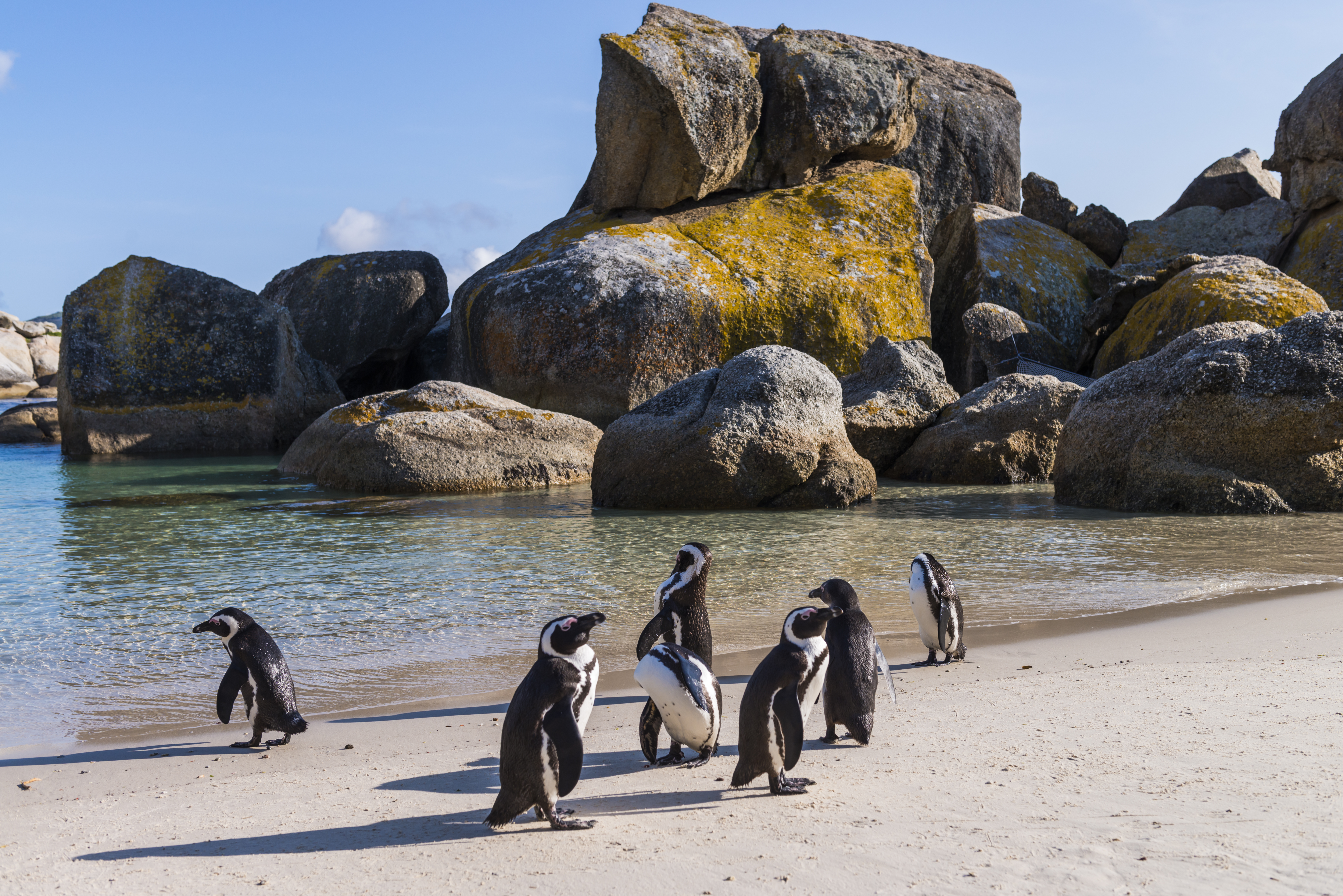 Simon’s Town Quayside Hotel