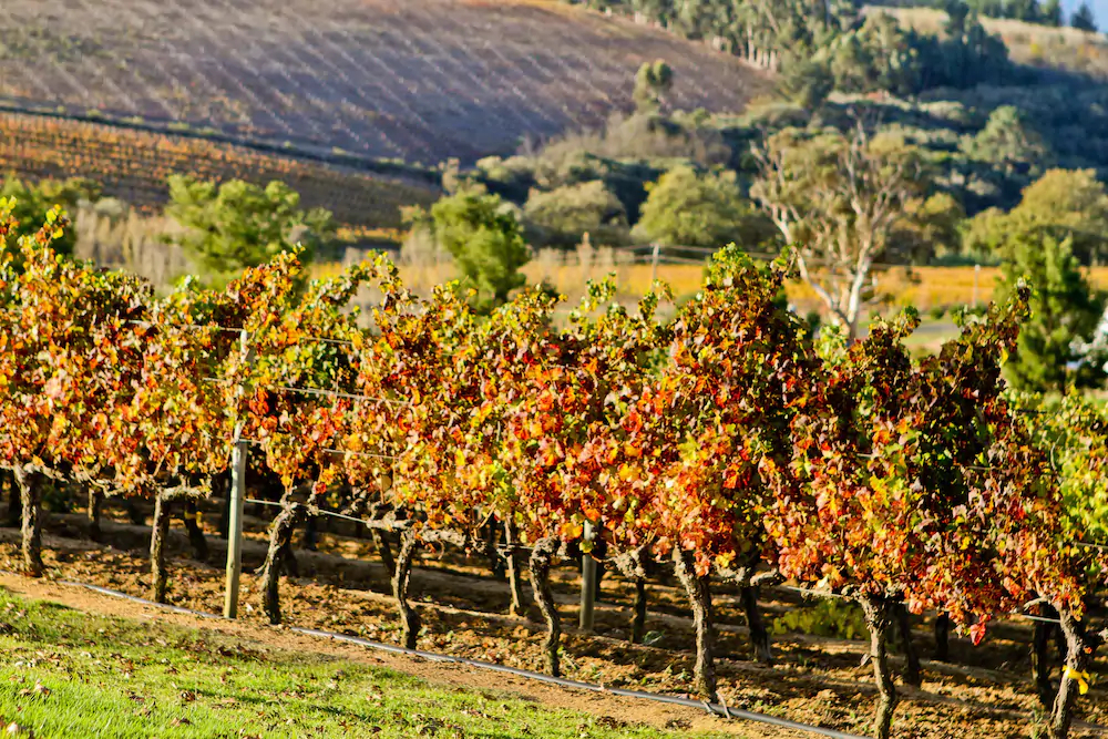 Webersburg Guesthouse