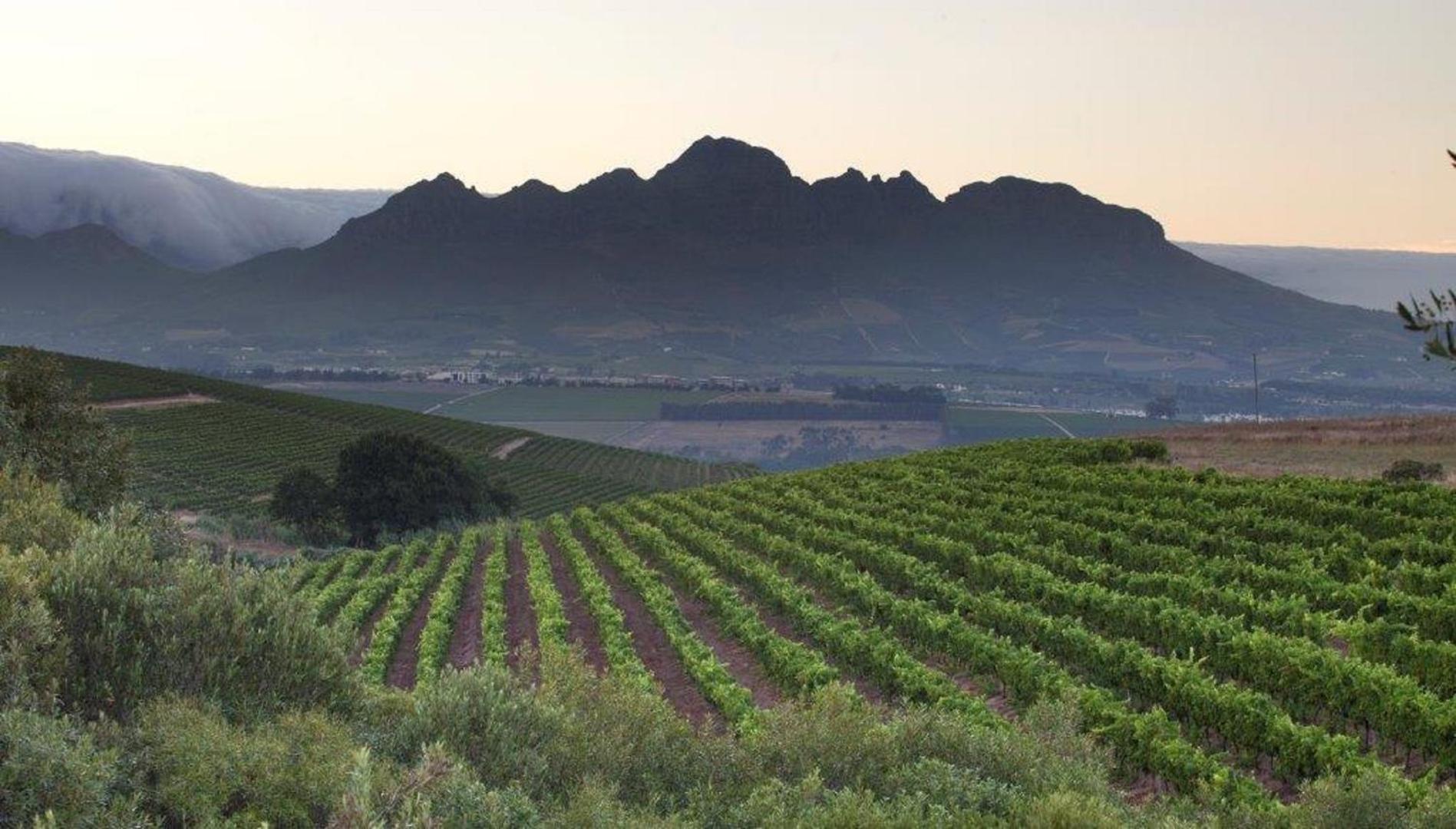 Asara Wine Estate & Hotel