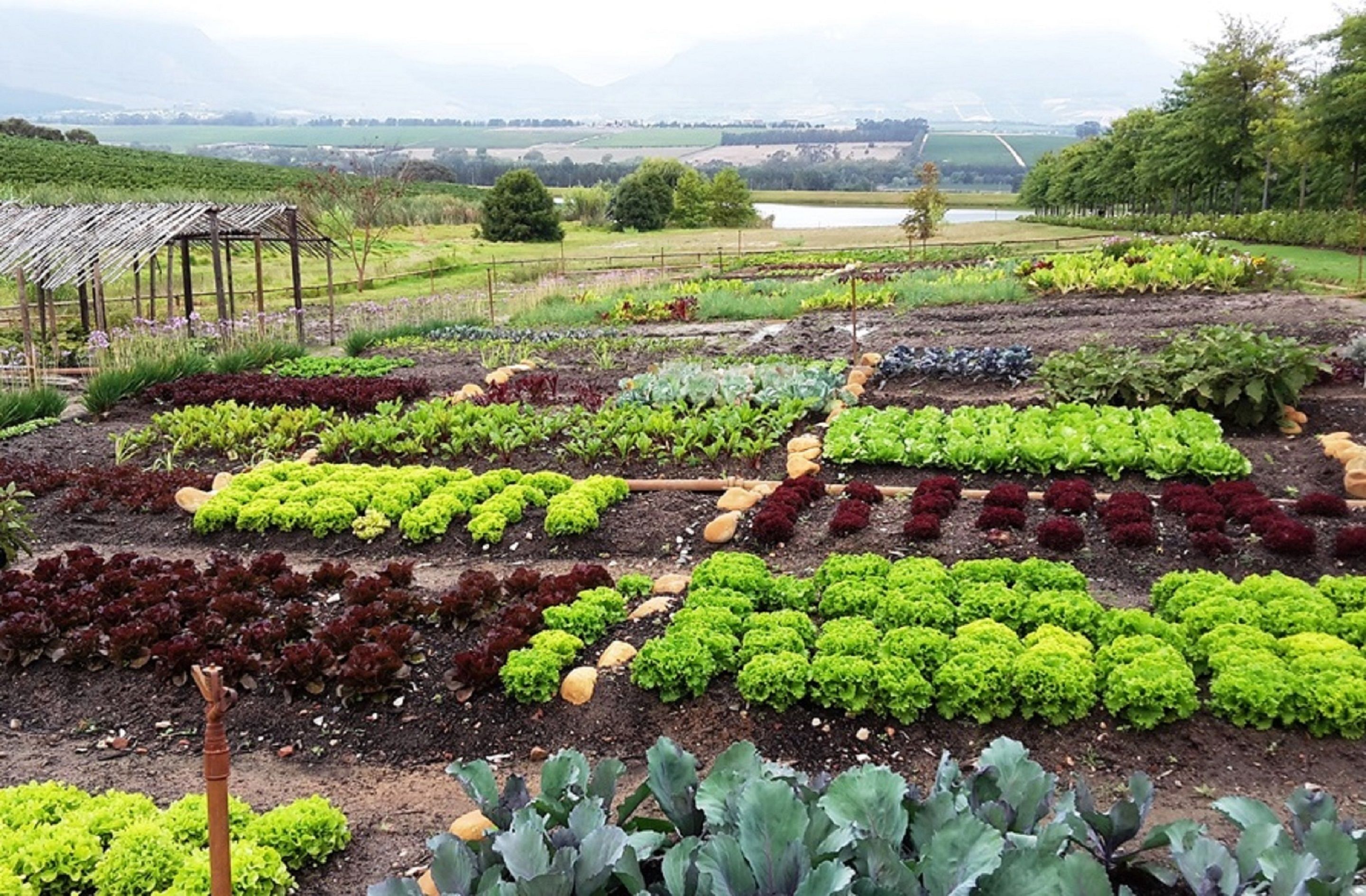 Asara Wine Estate & Hotel