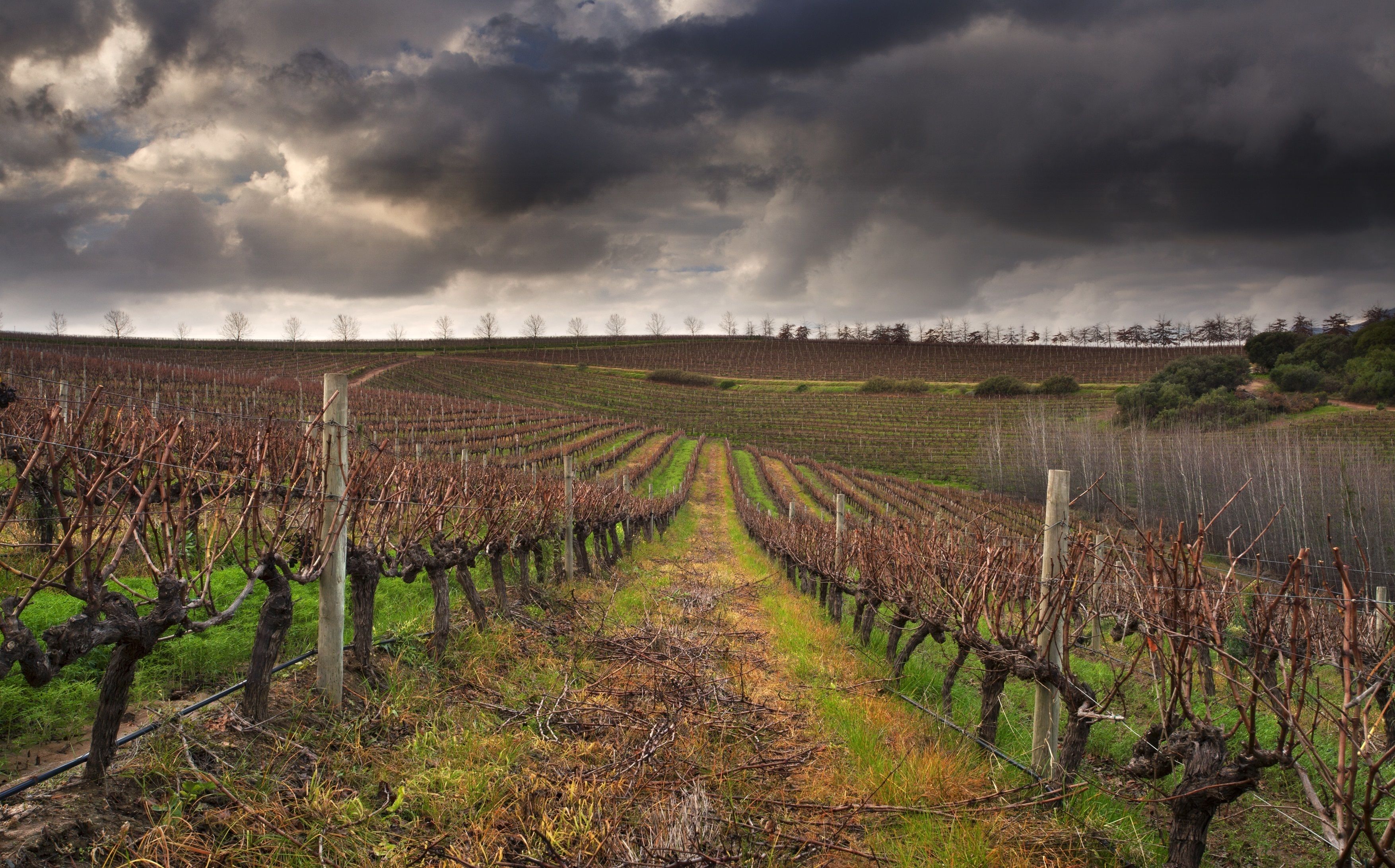 Asara Wine Estate & Hotel