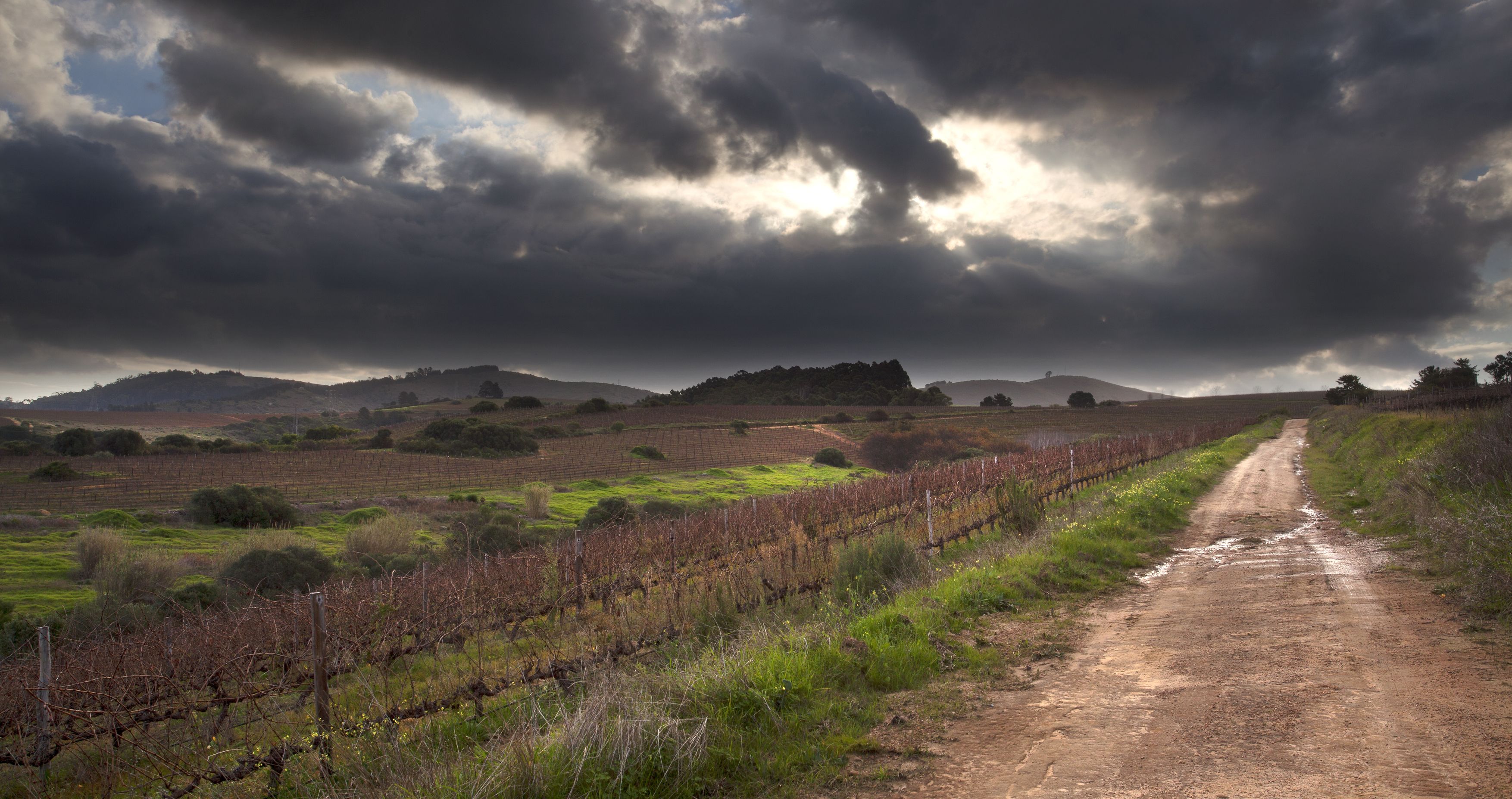Asara Wine Estate & Hotel