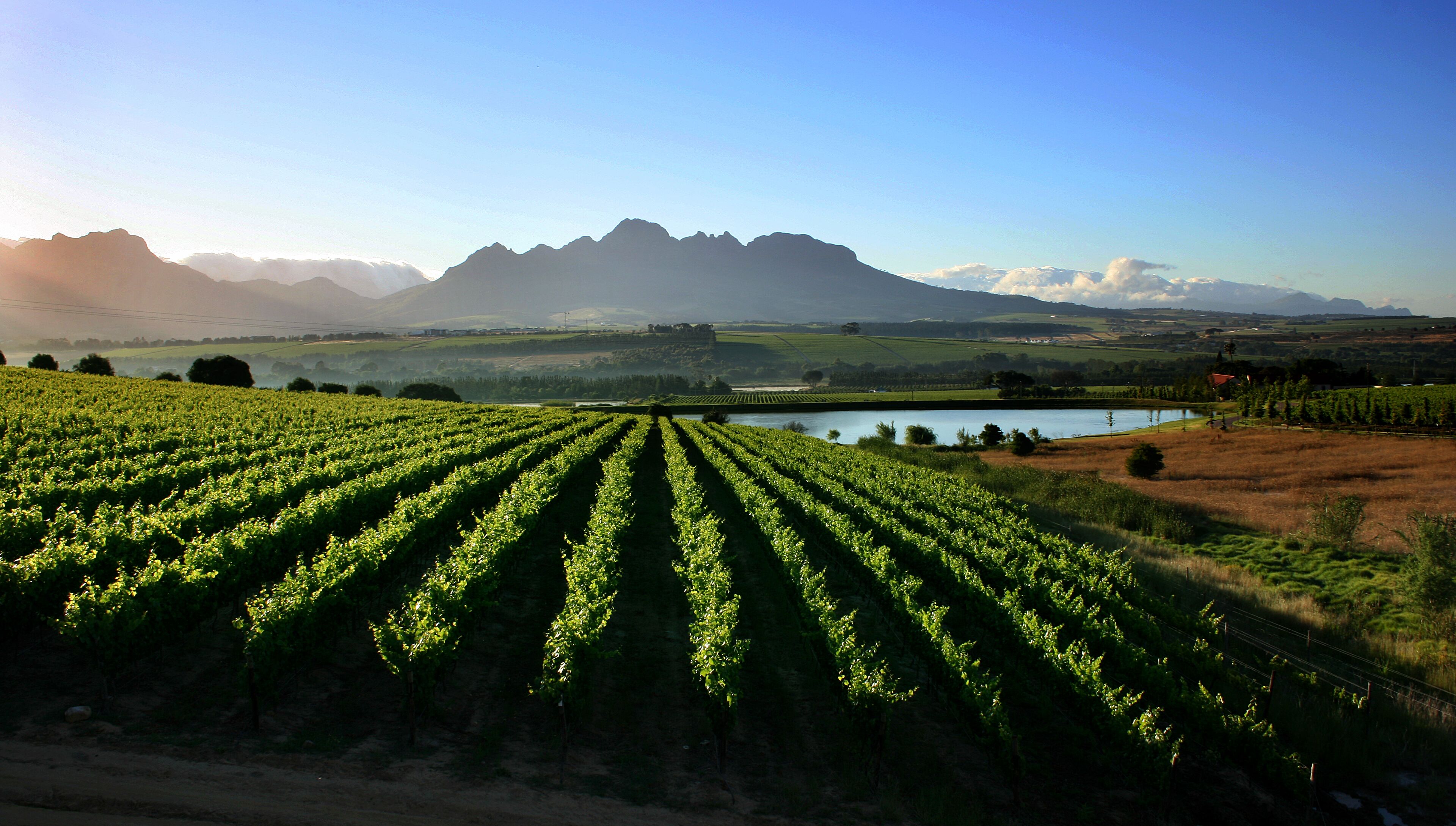 Asara Wine Estate & Hotel