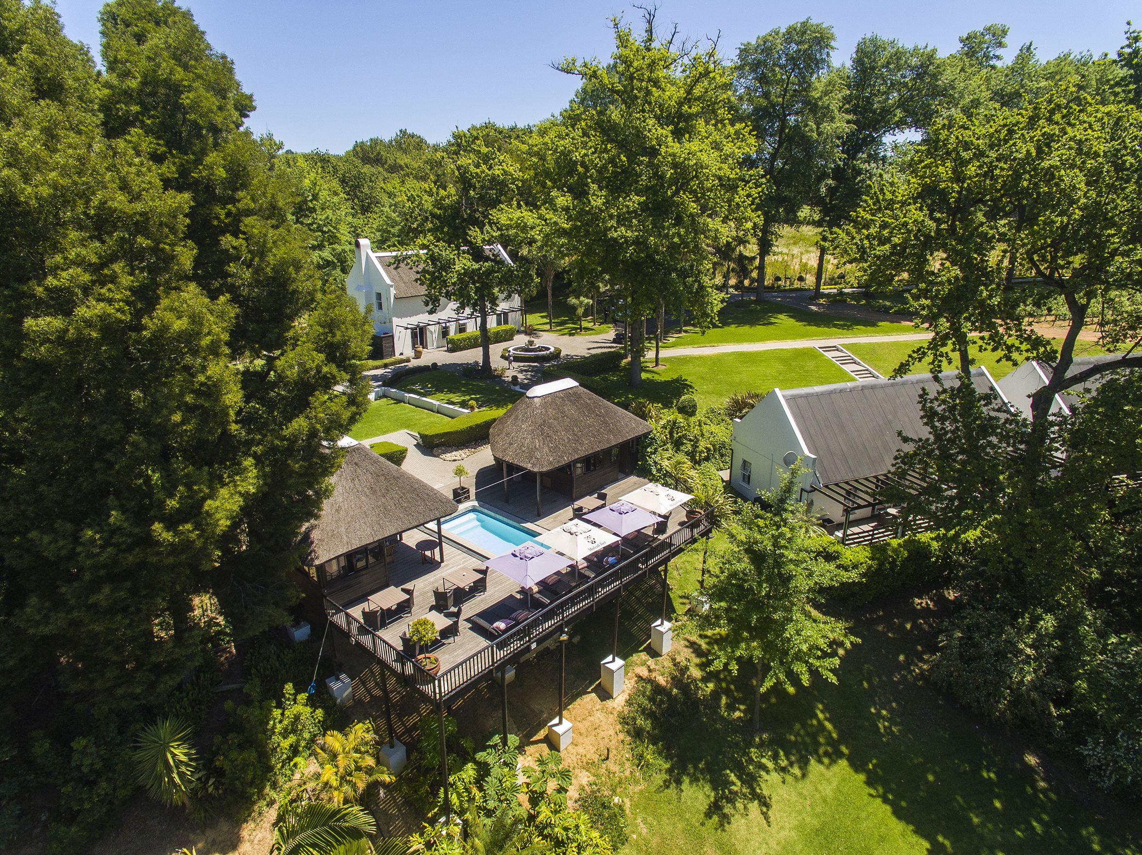 MolenVliet Oosthuizen Family Vineyards