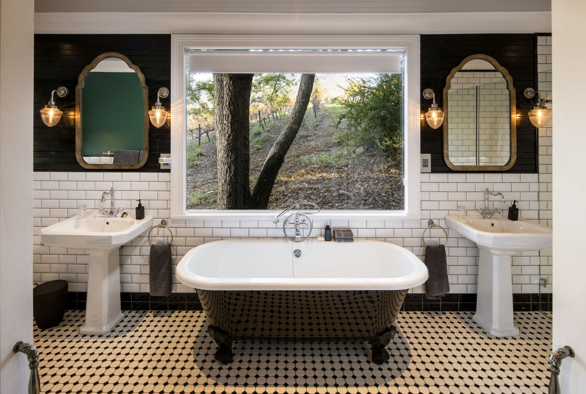 MolenVliet Oosthuizen Family Vineyards