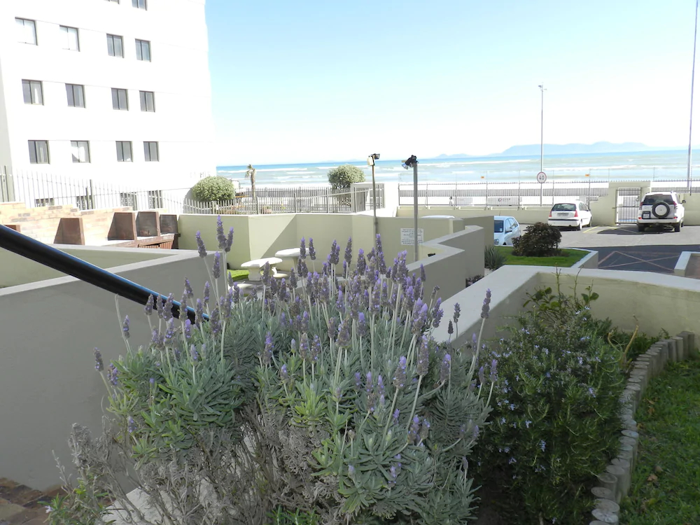 Silver Lining Beach Apartment