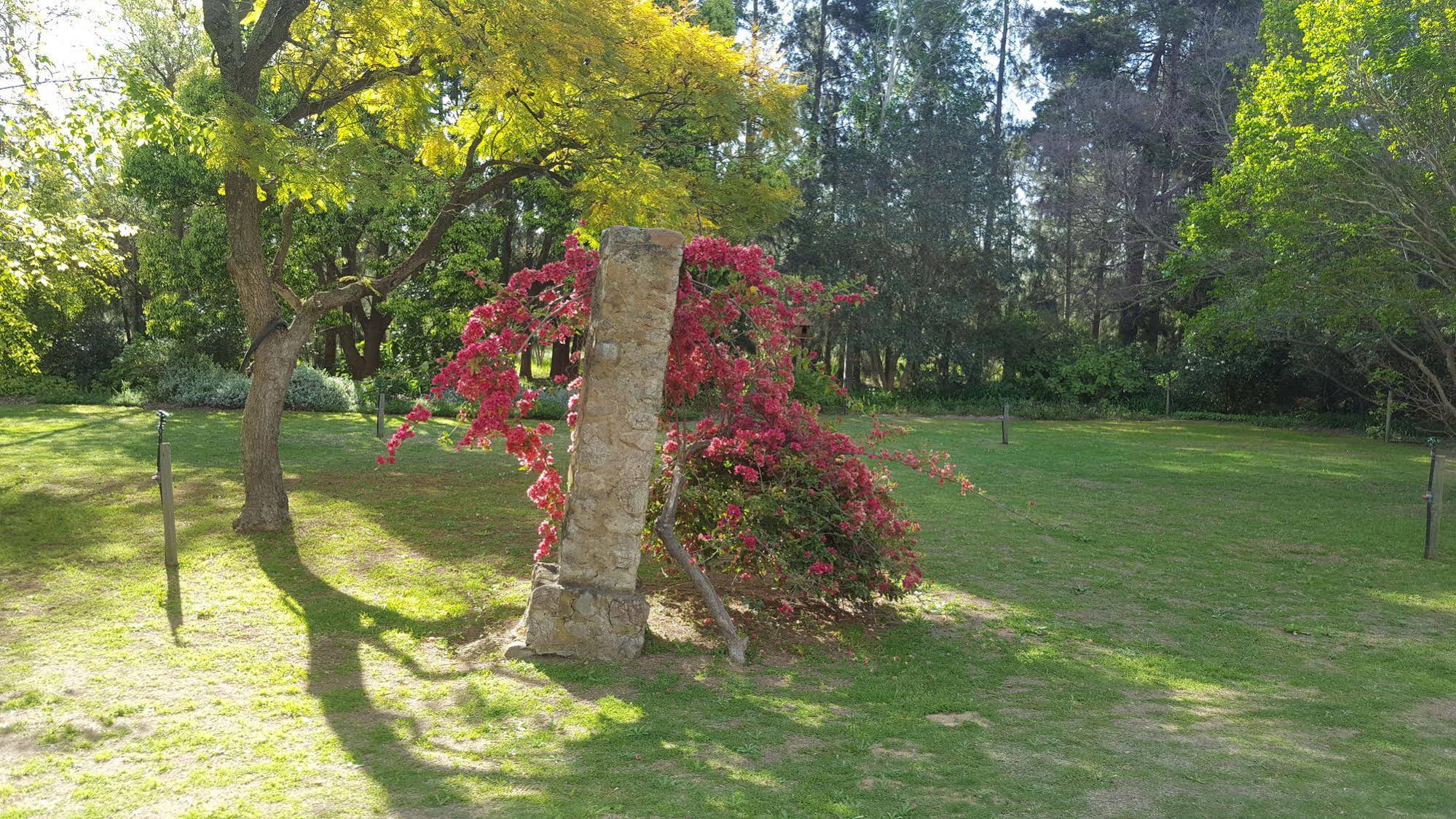Strath Breede House and Cottage