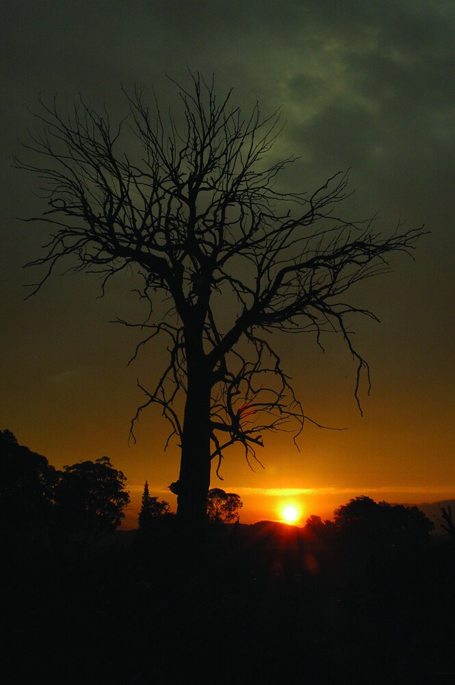 Bushman Sands Golf Lodge & Estate