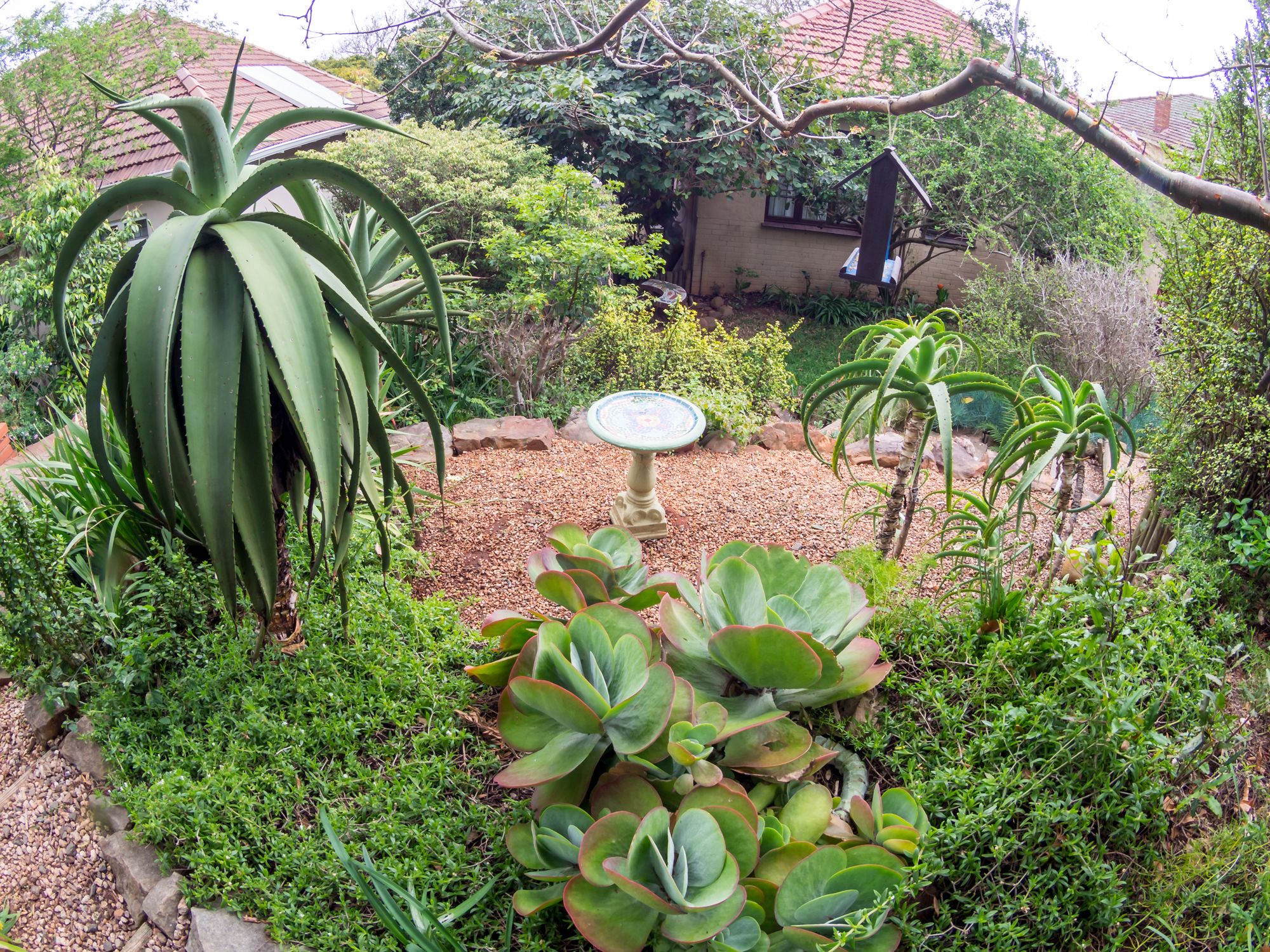 Mackaya Bella Guest House