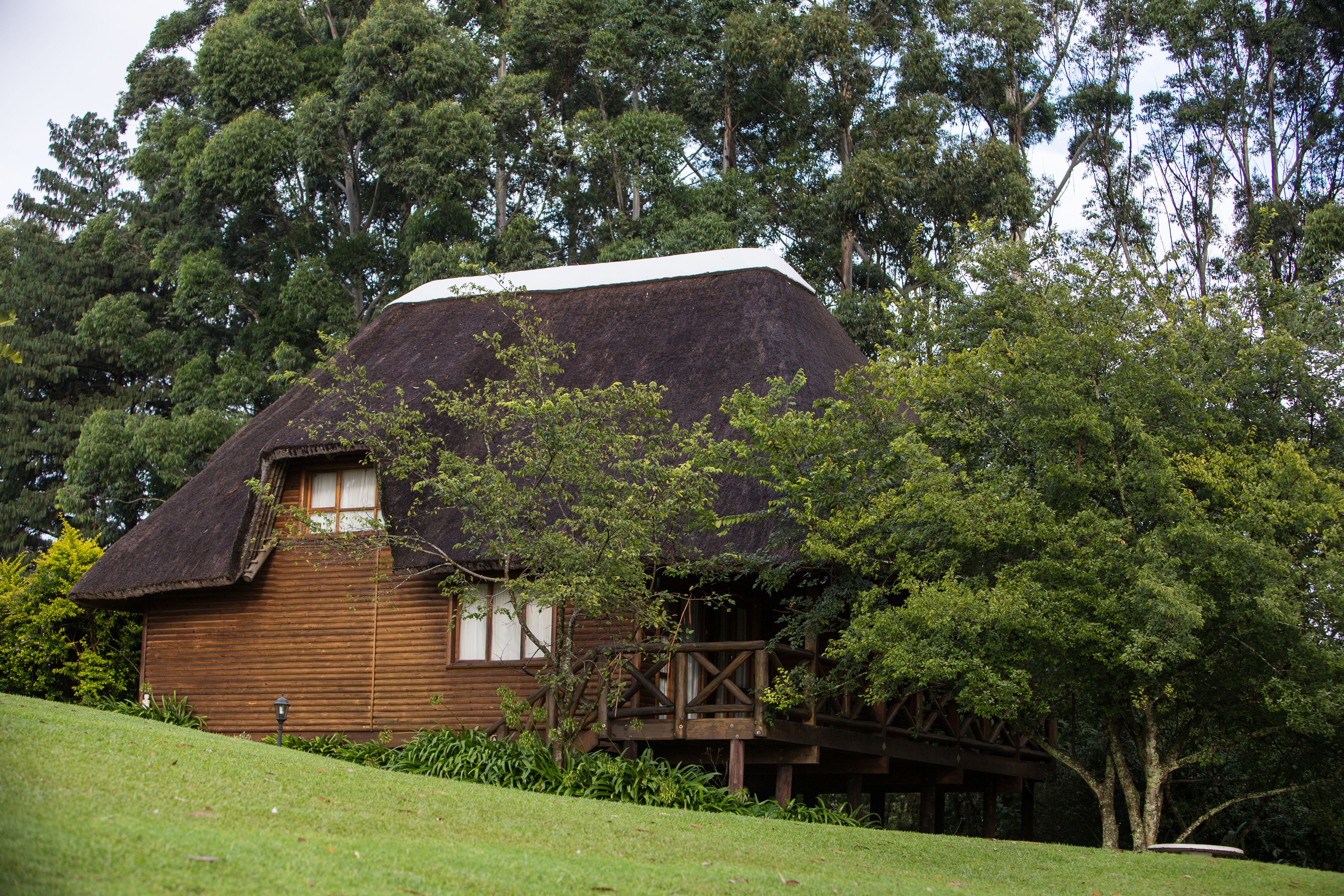 ANEW Hotel Ingeli Forest & Spa
