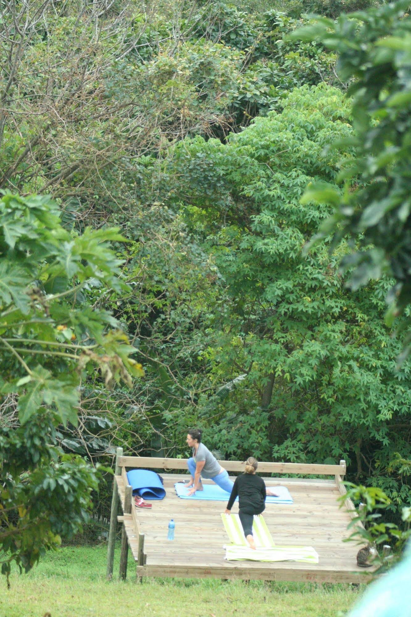 Pumula Surf Camp - Hostel