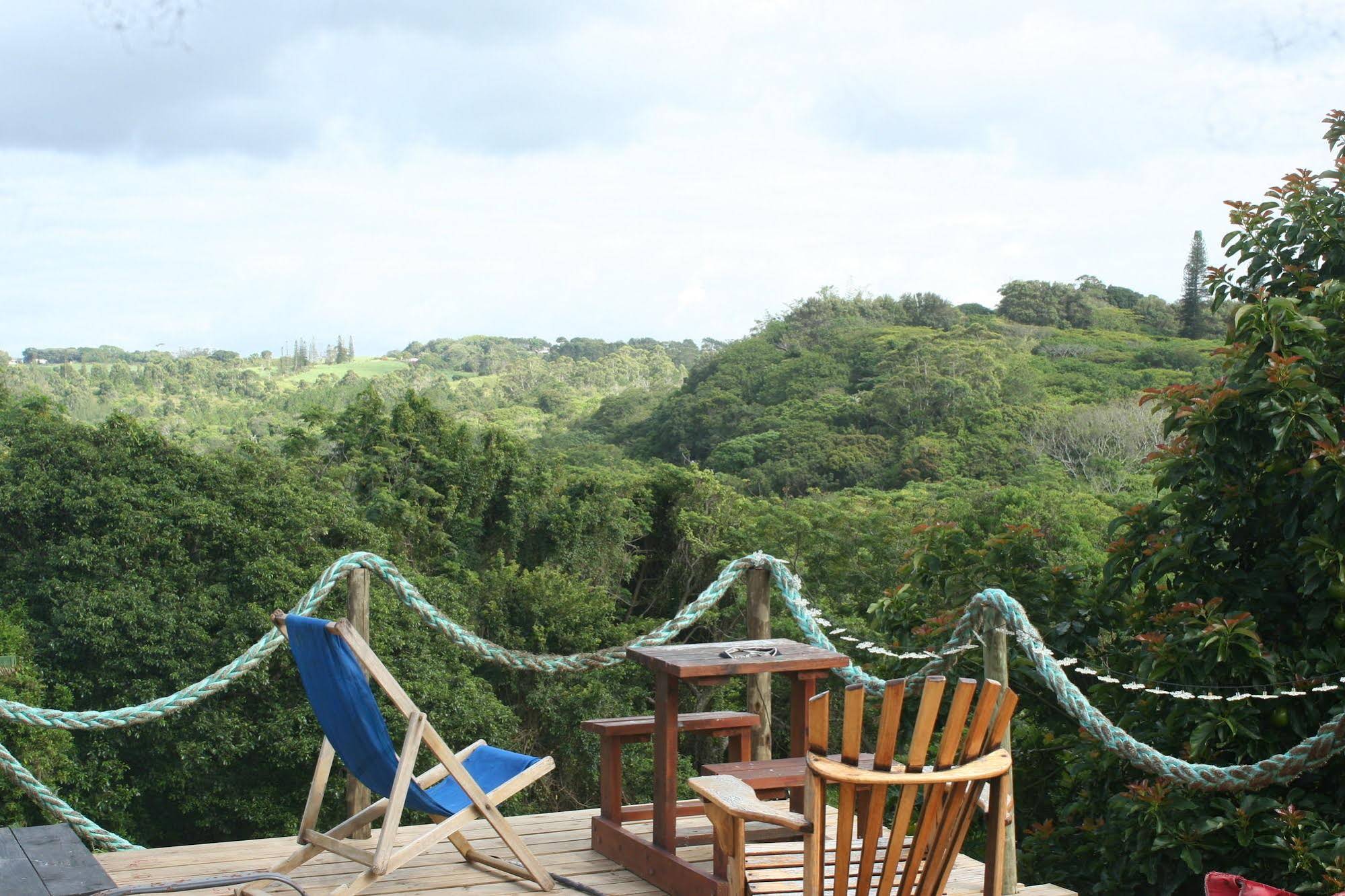 Pumula Surf Camp - Hostel