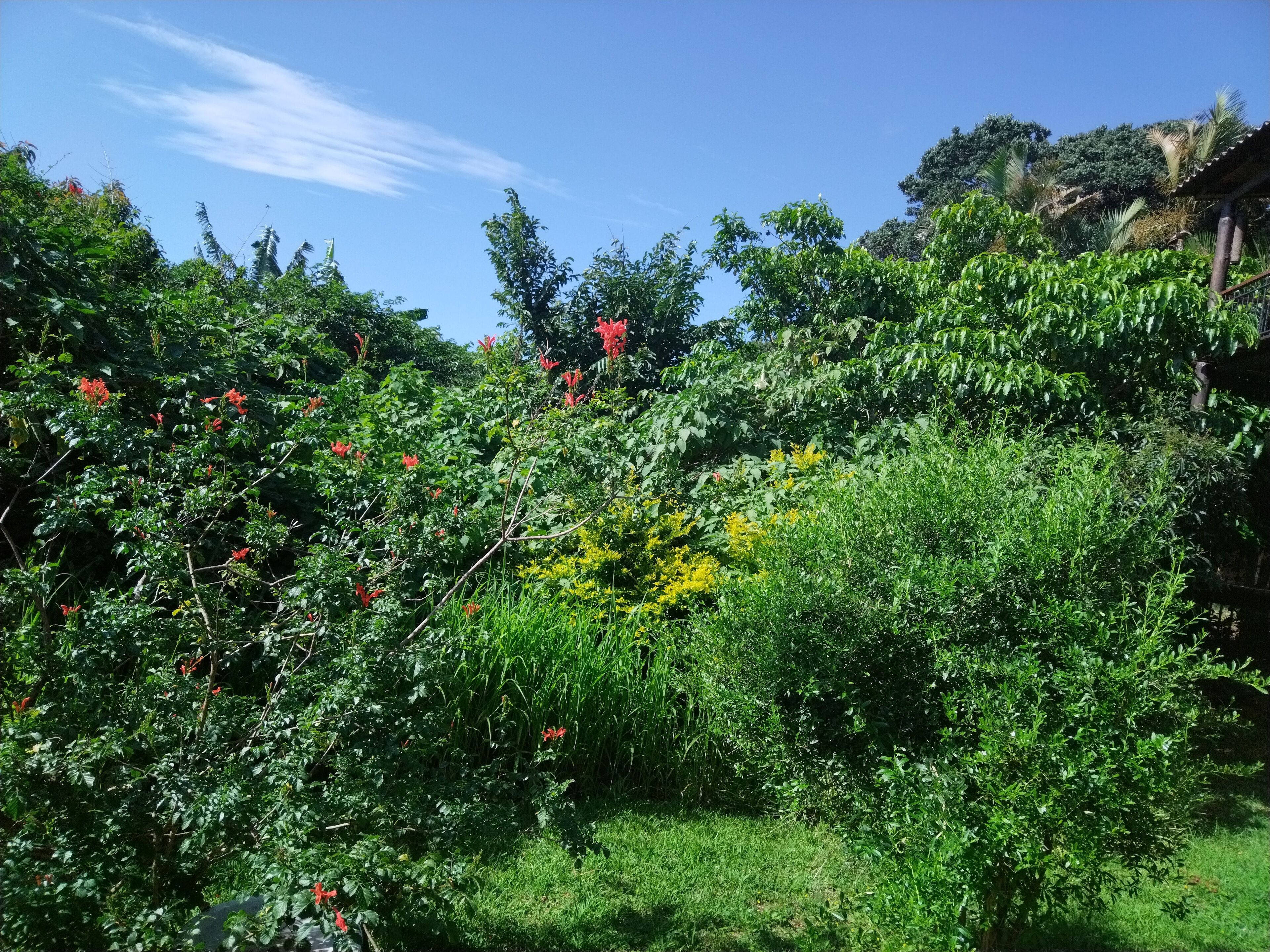 The Tropical Hut Lodges