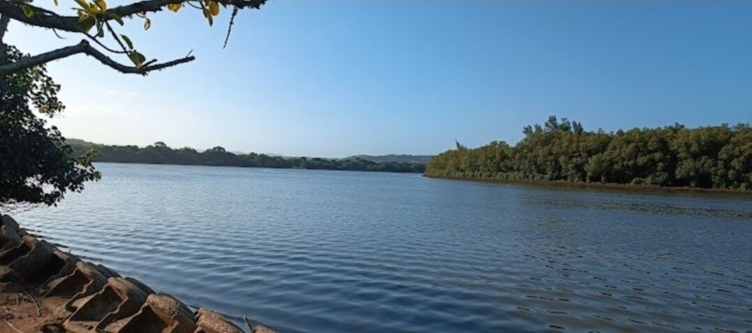 The Tropical Hut Lodges