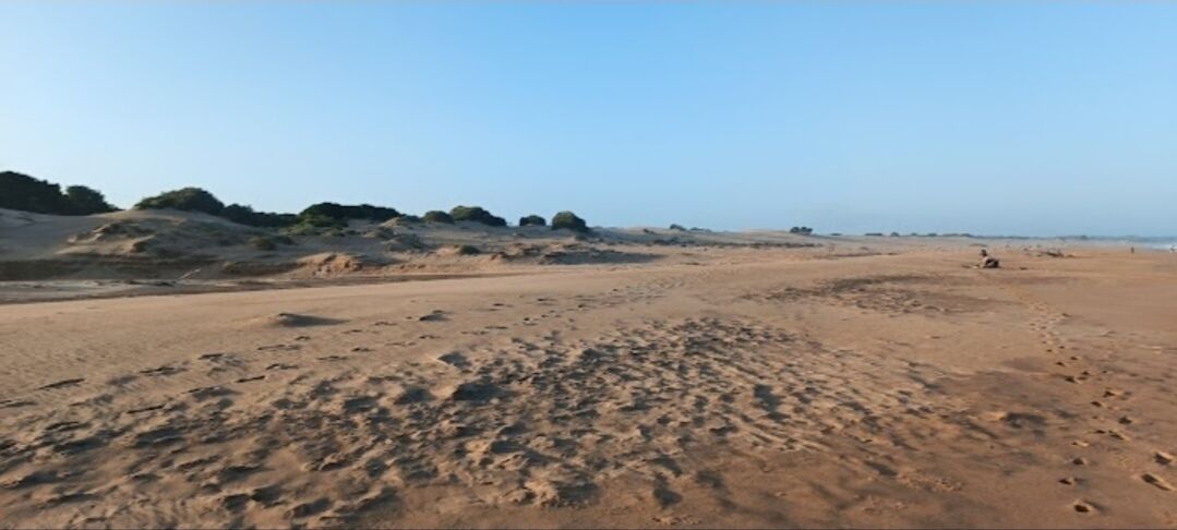 The Tropical Hut Lodges