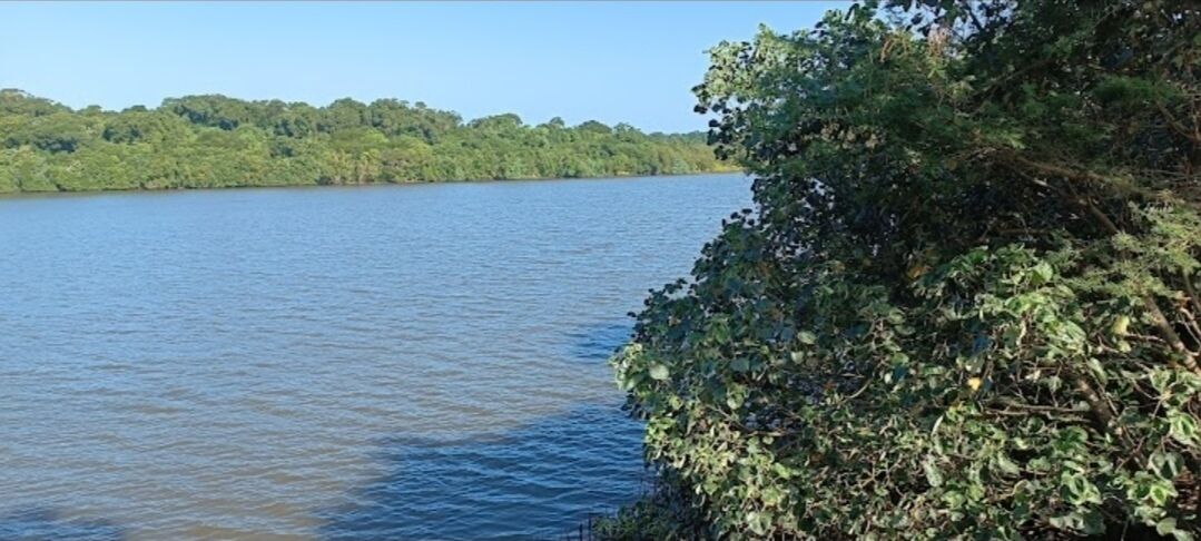 The Tropical Hut Lodges