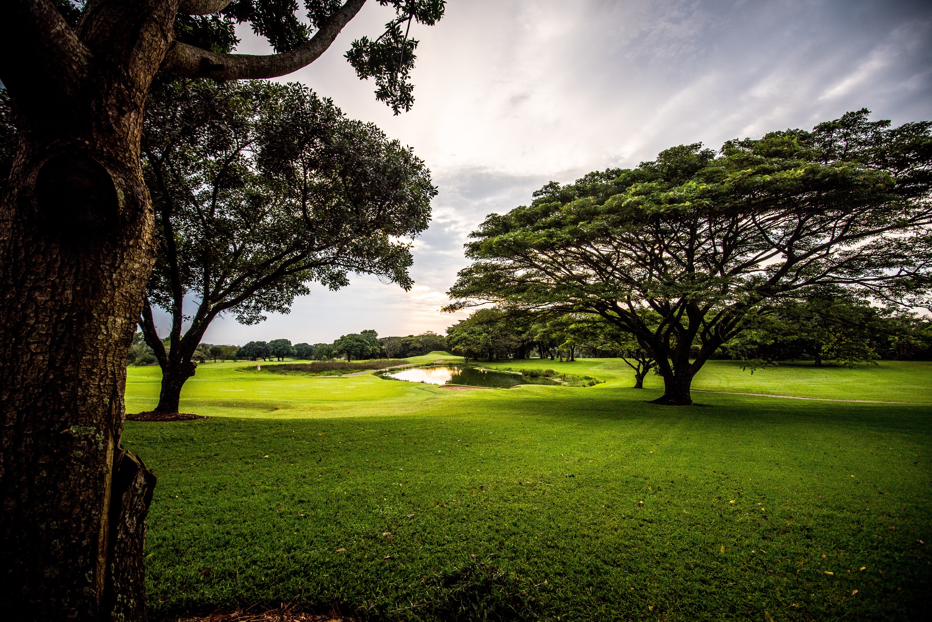 The Selborne Hotel, Spa & Golf Estate