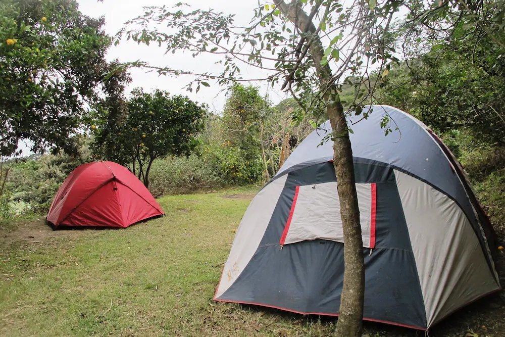 Amapondo Backpacker Lodge