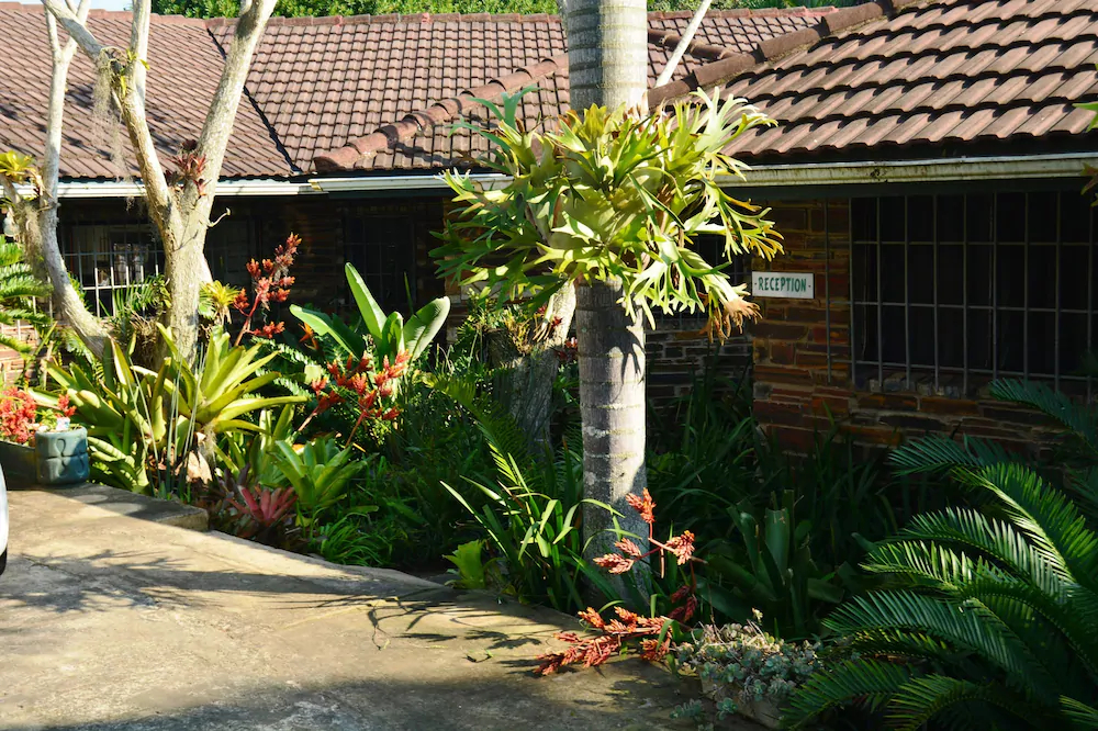 Buya Futhi Bed & Breakfast