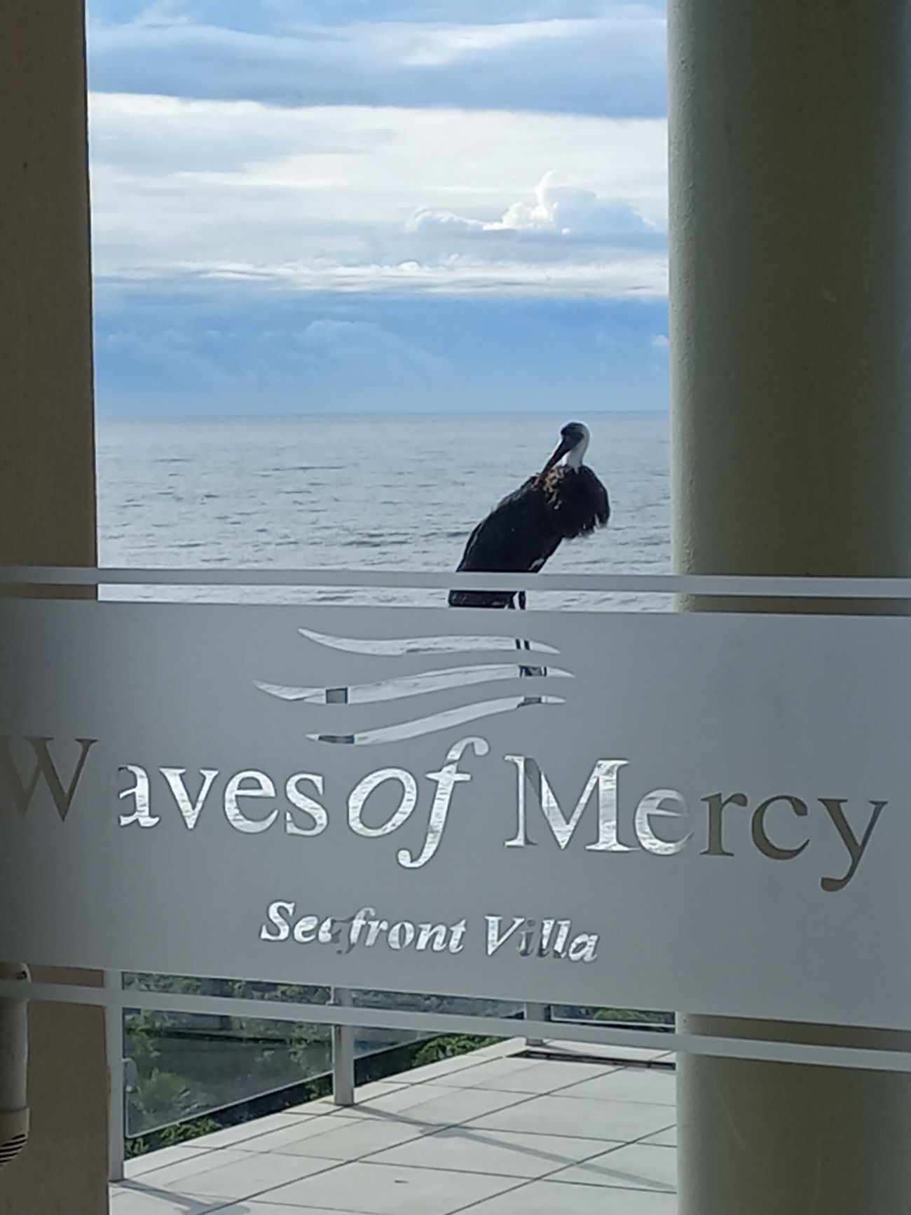 Waves of Mercy