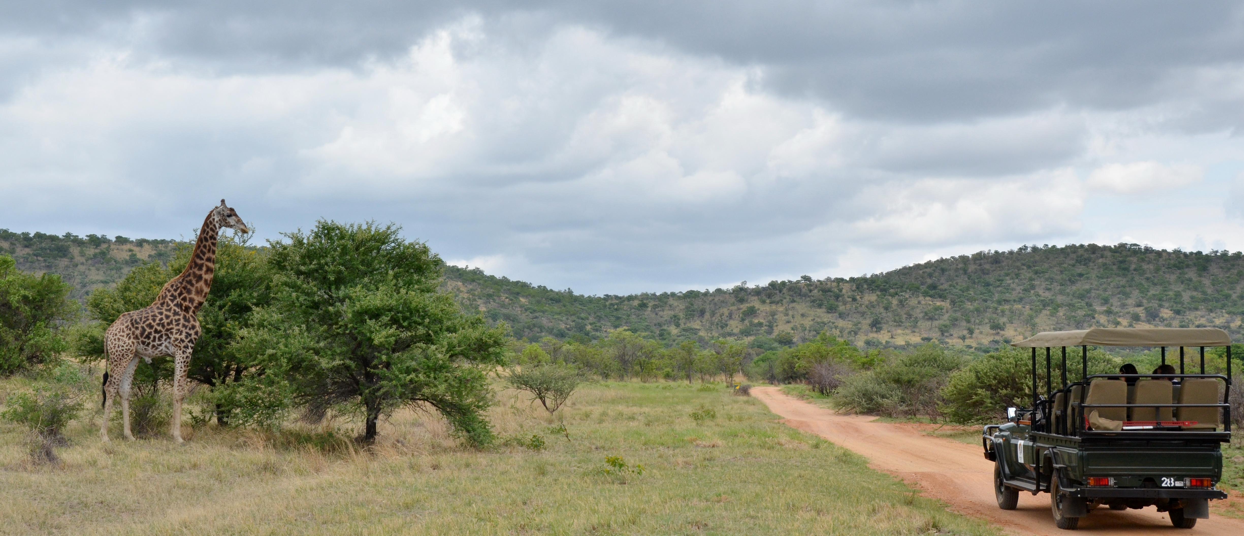 Mabula Game Lodge