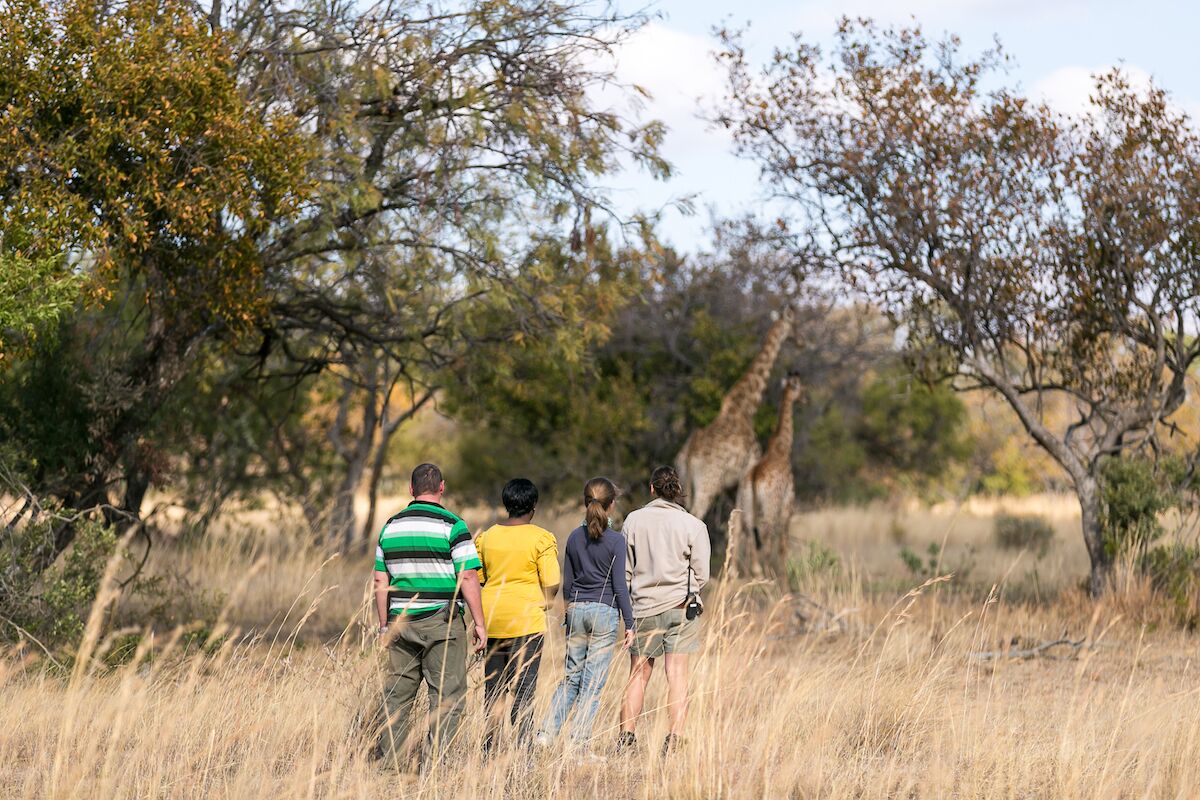 Waterberg Luxury Lodge At Zebula