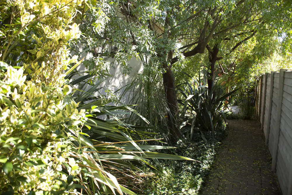 Birch Bush Bed and Breakfast