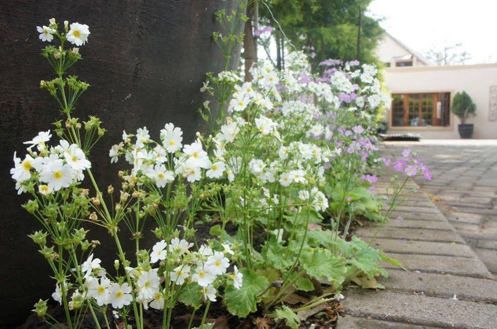 The Lapha B&B