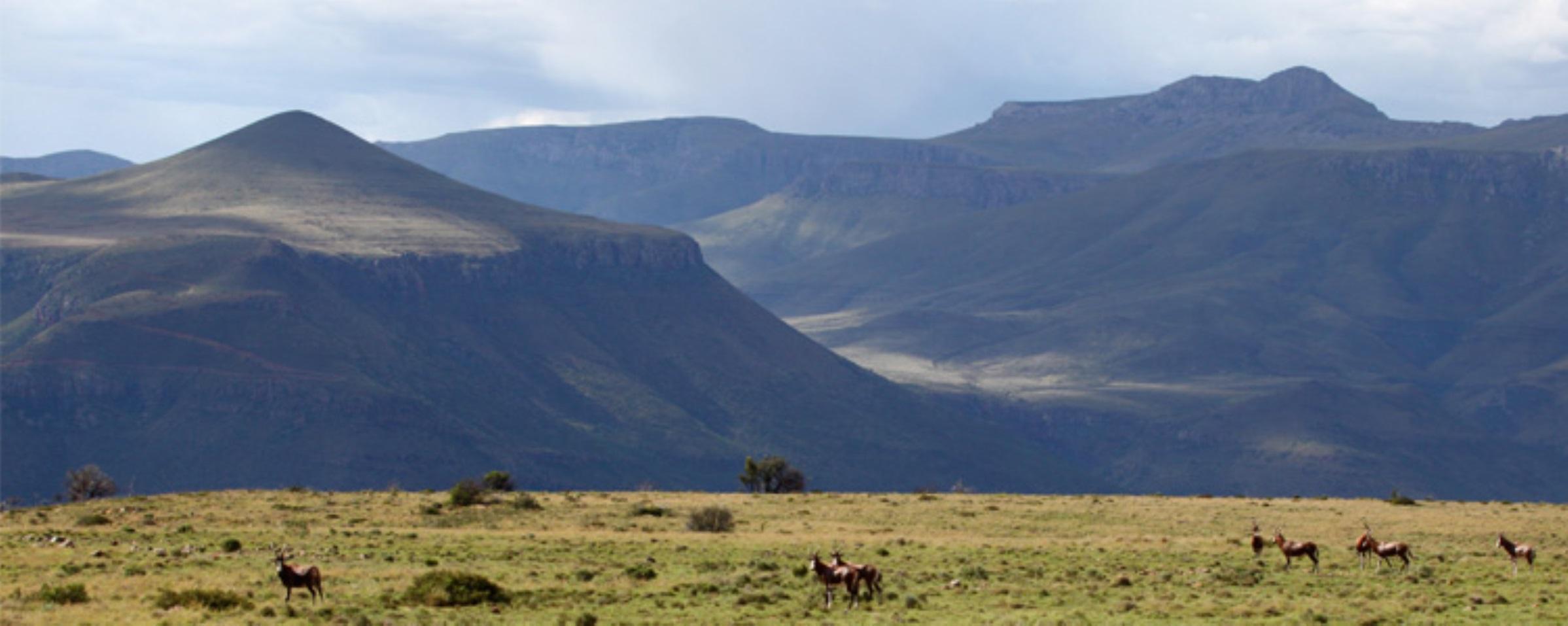 Mount Camdeboo Private Game Reserve by Newmark