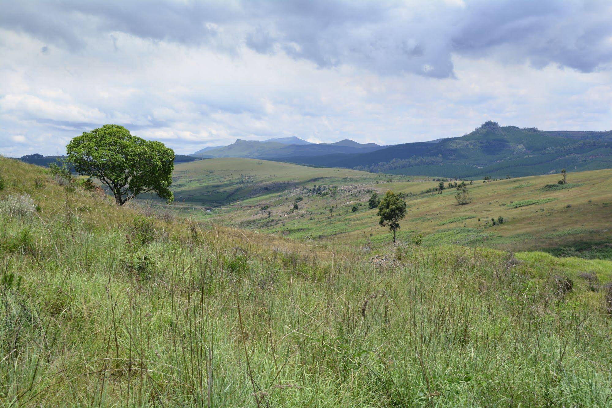 Thaba Tsweni Lodge & Safaris