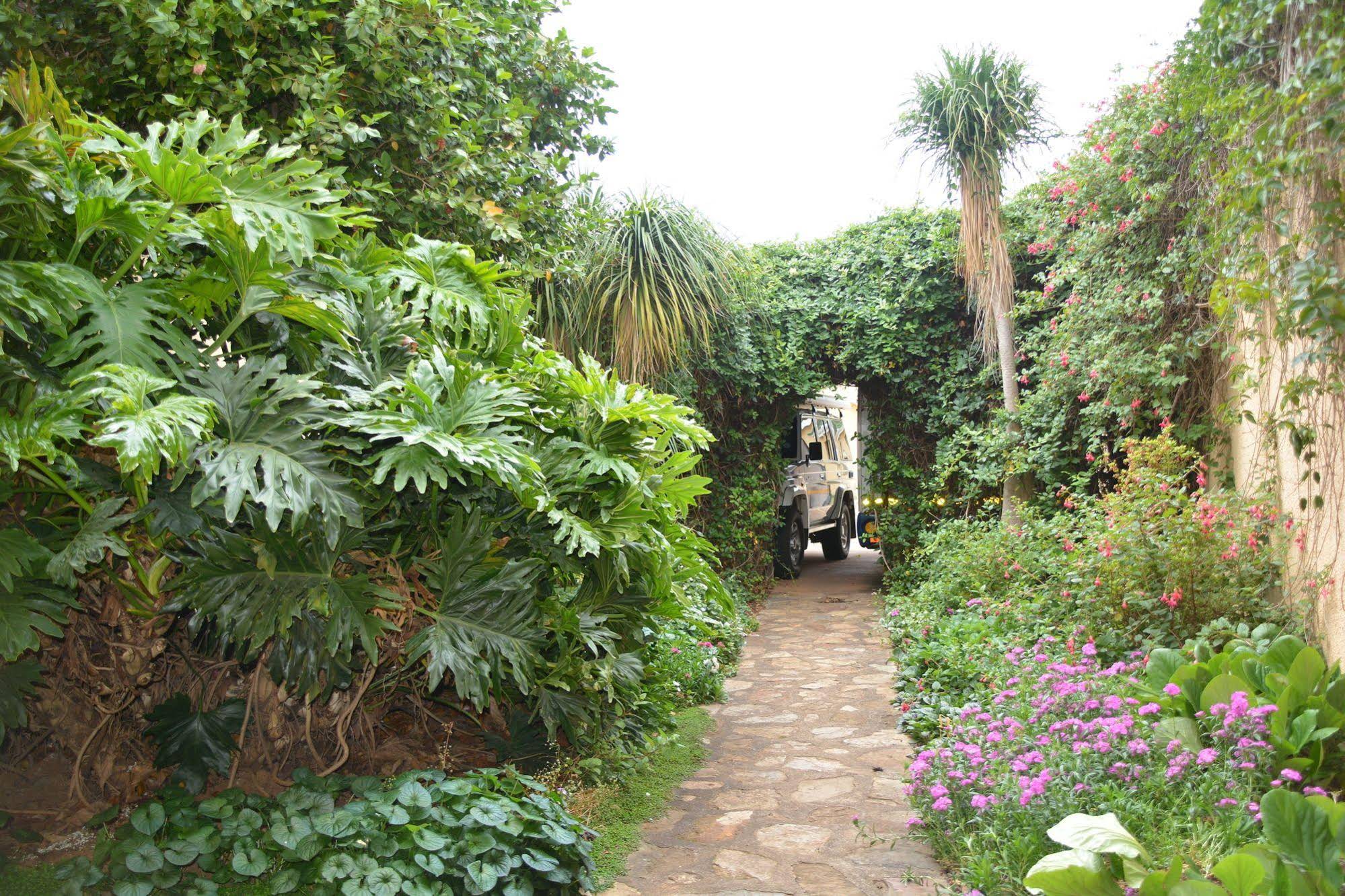 Thaba Tsweni Lodge & Safaris