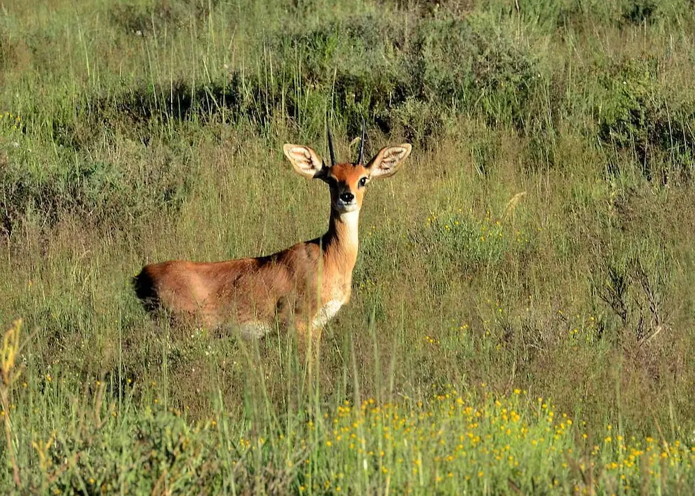 Karoo Gariep Tented Camp